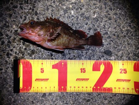 ターゲットを間違ったべ。