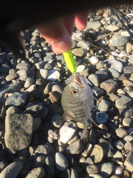 メッキ調査最終