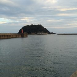 同僚とアジ釣り