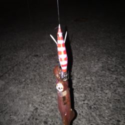 ライトエギング