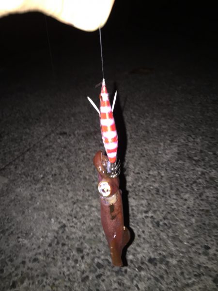 ライトエギング