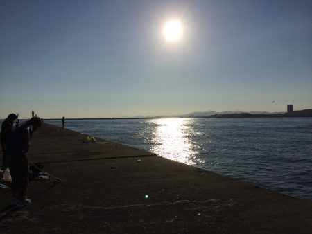 釣りin中島埠頭