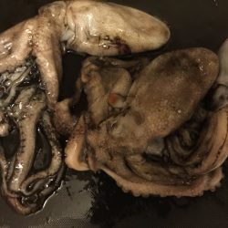 ライトエギング