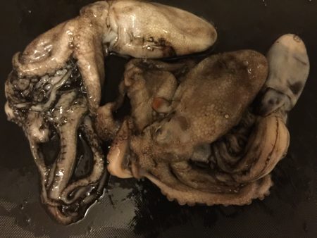 ライトエギング