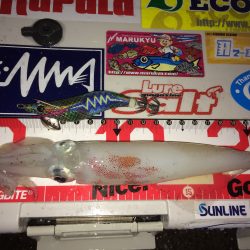 ライトエギングで剣先狙い