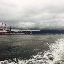 沖堤防でワインド♪