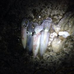 何とか粘って…