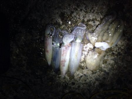 何とか粘って…