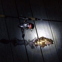 雨上がりちょこっとフィッシング