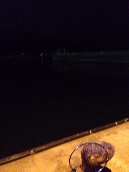 小島漁港エギング！