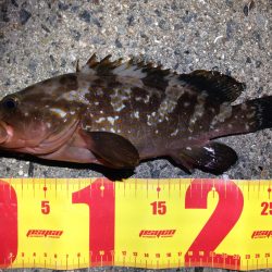 THE 汗だく釣行！