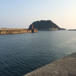 キスかアジが迷いました