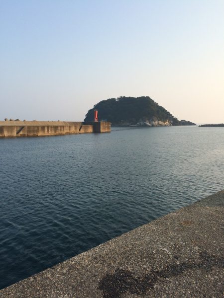 キスかアジが迷いました