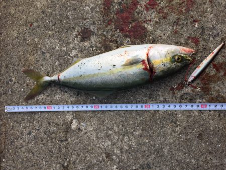 ツバスゲット！