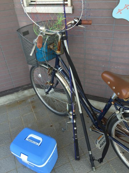 人生初シーバス！