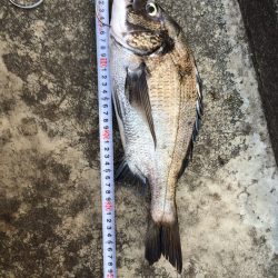 なんちゃって落とし込み