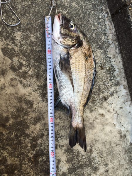 なんちゃって落とし込み