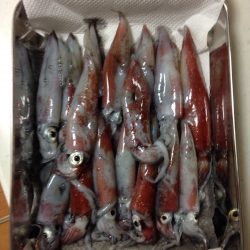 「ねぇ、僕にもできたよー！」