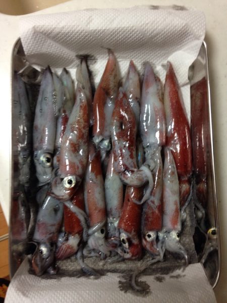 「ねぇ、僕にもできたよー！」