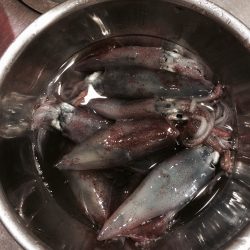 アフターケンサキ