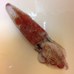 カミナリピカピカ