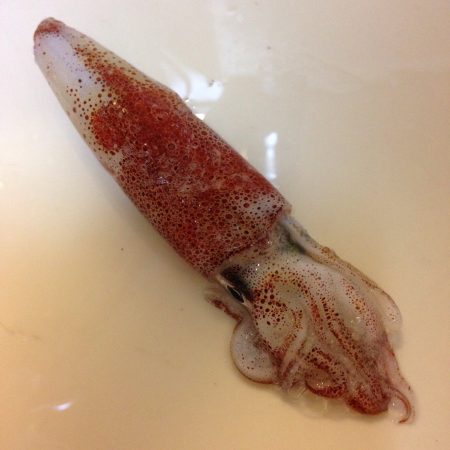 カミナリピカピカ