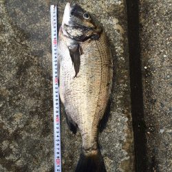 なんちゃって落とし込みPart2