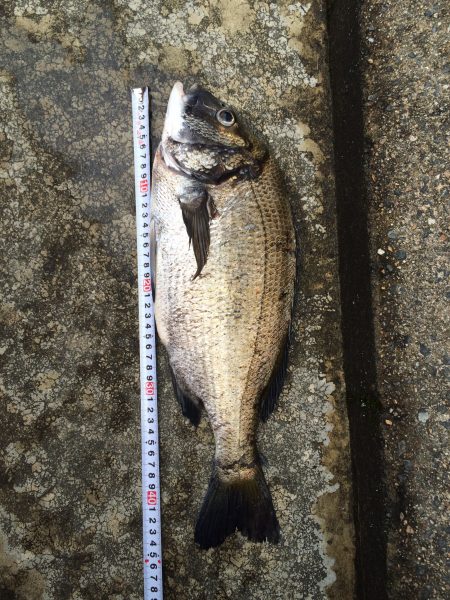 なんちゃって落とし込みPart2