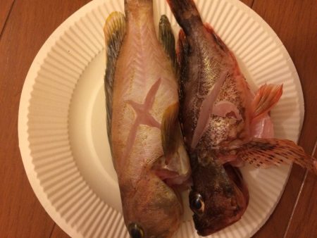 青物不発も切り替え