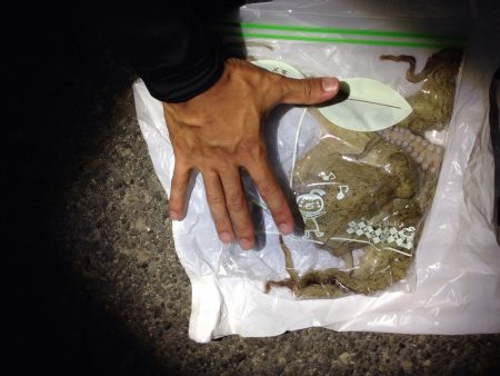 お持ち帰りサイズゲット！