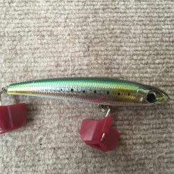 青物ロマンを求めて