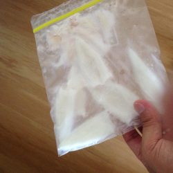 連夜のケンサキ