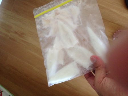 連夜のケンサキ