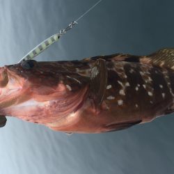 まだいてくれた