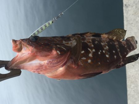 まだいてくれた