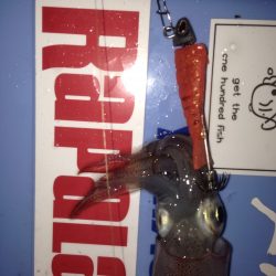 初剣先烏賊エギング