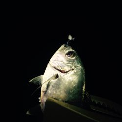 メッキゲーム！