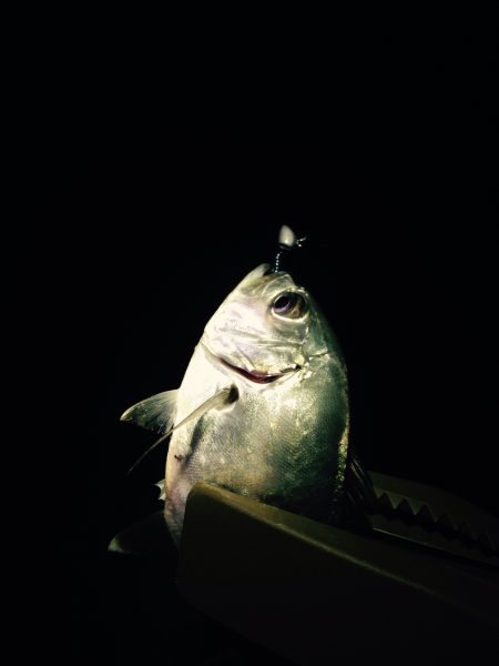 メッキゲーム！