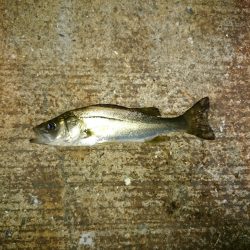 怒らせてしまった❗