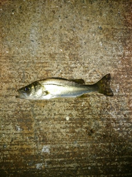 怒らせてしまった❗