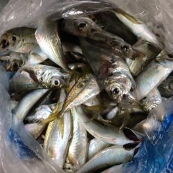 やっぱり前回のはマグレだった・・・