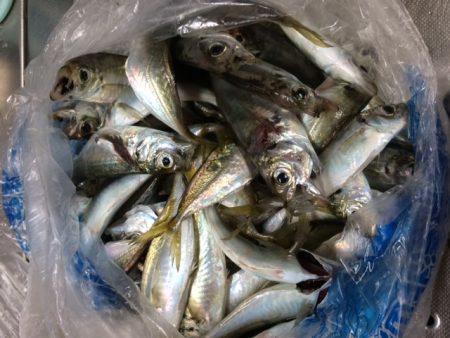 やっぱり前回のはマグレだった・・・