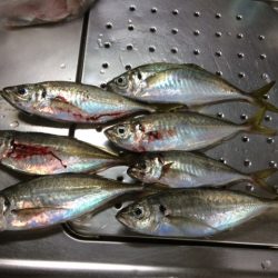 あれ？また回ってきた？