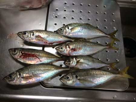 あれ？また回ってきた？