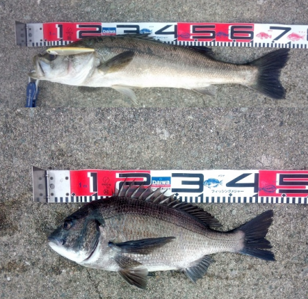 大蔵海岸のトップゲームでグランドスラム達成