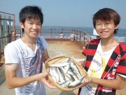 大阪南港海釣り公園　サバ、アジ、サッパ好調です