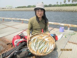 尼崎市魚つり公園　サッパ・サバ・イワシ・ア…