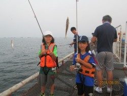 尼崎市立魚つり公園　今日もサビキは絶好調！
