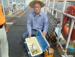 尼崎市立魚つり公園　サビキで連日好釣果
