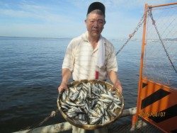 尼崎市立魚つり公園　豆アジ、サッパ入れ喰い！